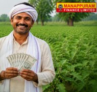 Agriculture Gold Loan vs Crop Loan: A Farmer’s Guide